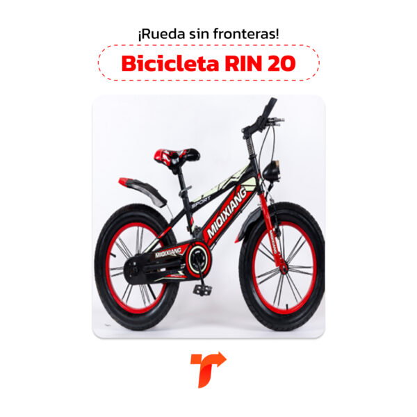 Bicicleta Rin 20